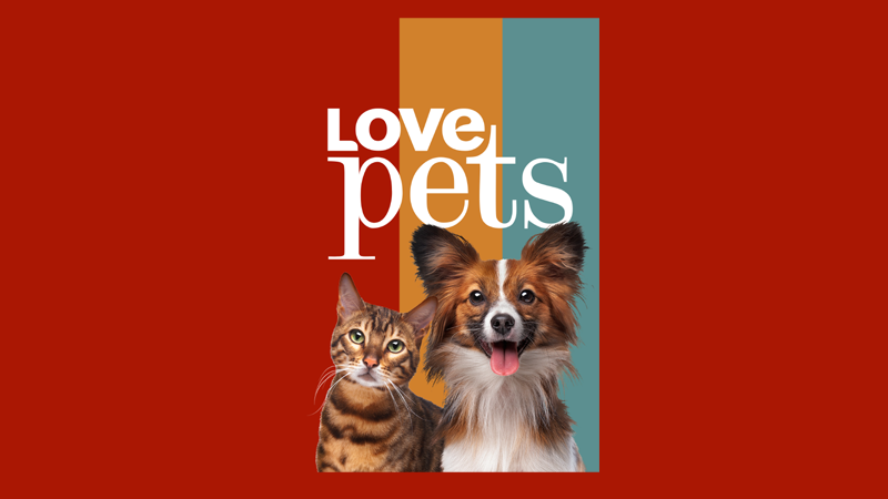 Love Pets tv